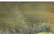 Indian wildlife tourism