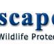 Junglescapes.com